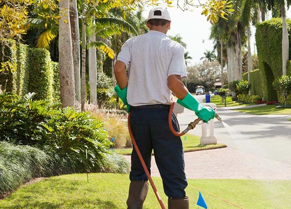 About Mongaup Valley NY Pest Control